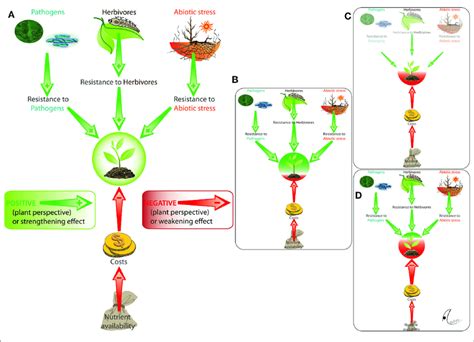 Conditional Outcomes Of Plant Microbe Interactions We Illustrate Download Scientific Diagram