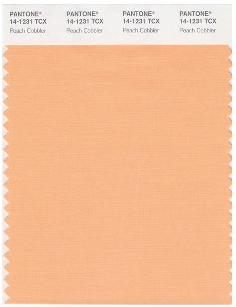 Pantone Smart 14 1231 TCX Color Swatch Card Peach Cobbler Magazine