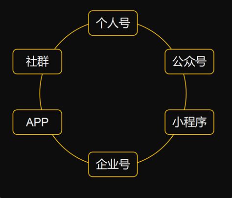 如何打造私域流量池（私域流量池搭建和运营全流程详解） 秦志强笔记网络新媒体营销策划、运营、推广知识分享