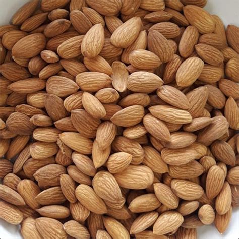 Whole Almonds Nuts Latest Price Whole Almonds Nuts Supplier In Jamnagar