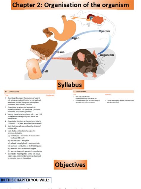 Chapter 2 Organisation of the organism | PDF | Cell (Biology) | Microscopy