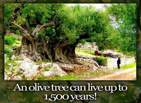 I Bet You Didn't Even Know Half of these Facts