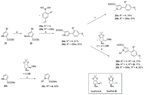 Scheme 3 A Boc 2 O N N Dimethylpyridin 4 Amine Dmap Ch 3 Cn 1 H Download Scientific