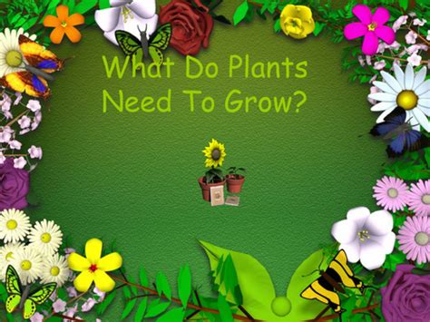 Powerpoint Growing Plants Seeds Fruit Teaching Resources