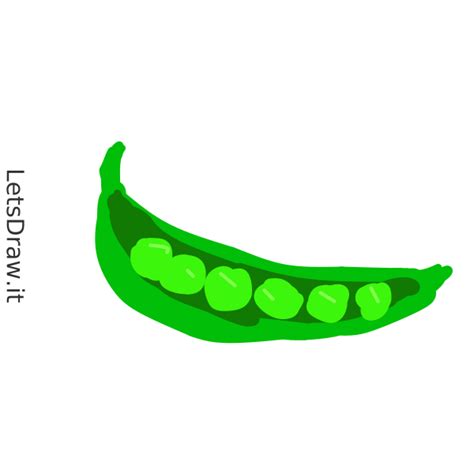 How to draw pea / izidjitq3.png / LetsDrawIt