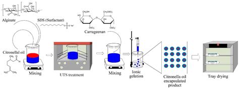 Chemengineering Free Full Text Ultrasound Assisted Encapsulation Of