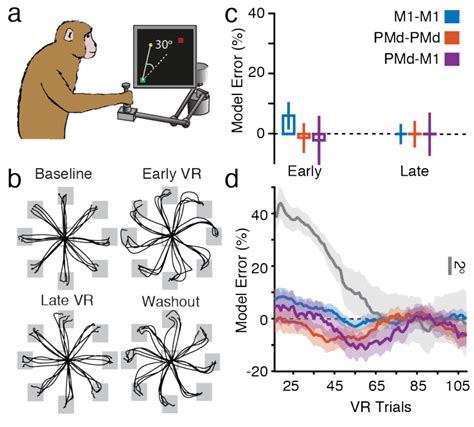 Model Performance During Visuomotor Rotation A The Monkeys Also