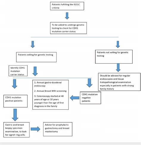 Screening And Management Of Patients With Cdh1 Mutation Gene Igclc Download Scientific Diagram