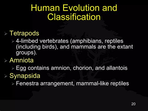 00 Anatomy Framework | PPT | Biological Sciences | Science