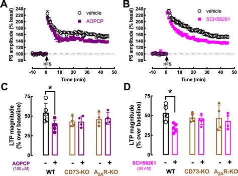 Atp Derived Extracellular Adenosine Formed By Cd73 Activates A2ar To Download Scientific