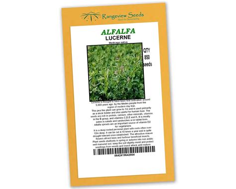 Alfalfa Lucerne Organic Rangeview Seeds Gardensonline