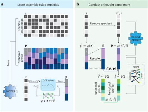 Study Proposes New Framework To Identify Keystone Microbial Species