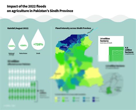 Solution Flood In Pakistan Rapid Assessment Studypool