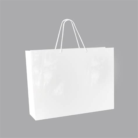 Sacs Papier Brillant Blanc 53 X 14 X H 44 Cm 190 G Laval Europe