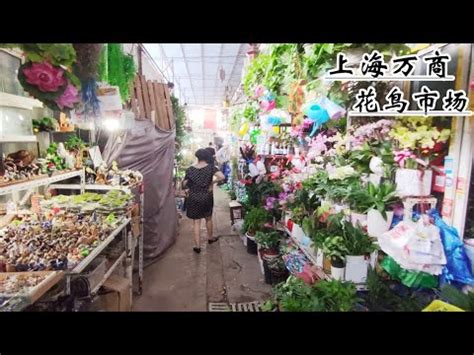 Shanghai Flower Bird Old Market Walking Tour