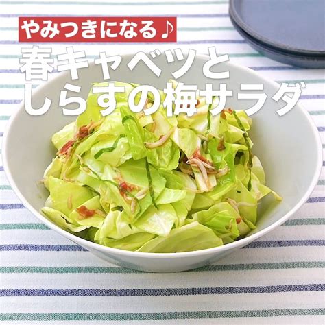 Delish Kitchen 簡単おかず！旬の春キャベツ8選 ①＜オイスターソースでコクうま♪豚肉と春キャベツの濃厚バター炒め＞ 材料 2人分 ・豚こま切れ肉 150g ・春キャ