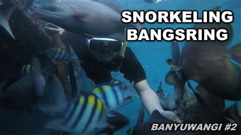 Snorkeling Bangsring Underwater Banyuwangi Youtube