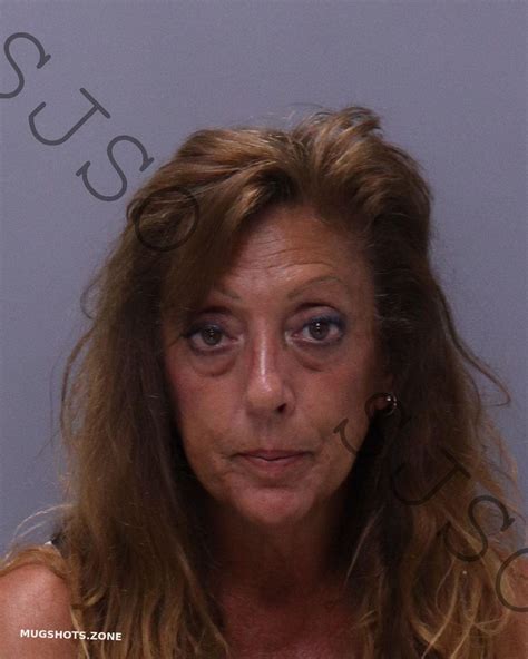 HAFFEY LISA DENISE 04 28 2023 St Johns County Mugshots Zone