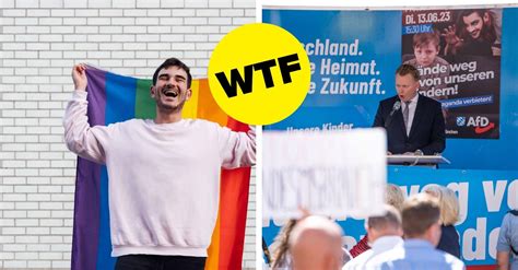 Queere Menschen Wollen Die Afd Wählen Warum