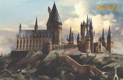 Painel Em Lona Banner Festa Castelo Harry Potter 1 20x0 80mt