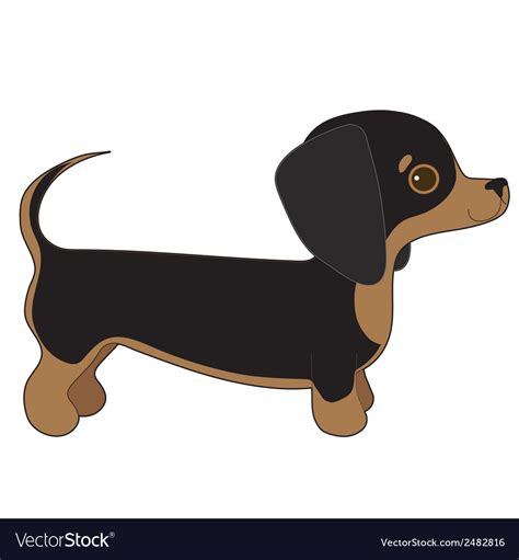 Dachshund Royalty Free Vector Image VectorStock