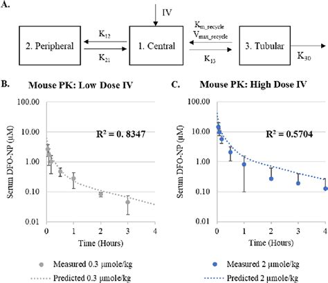 Comparison Of Predicted And Measured Dfo Np Pk After Iv Administration Download Scientific