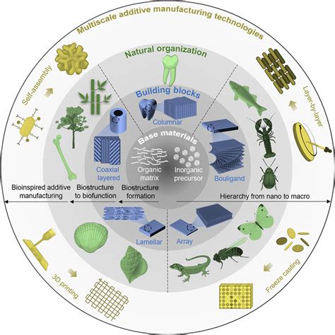 multiscale additive manufacturing technologies  building blocks