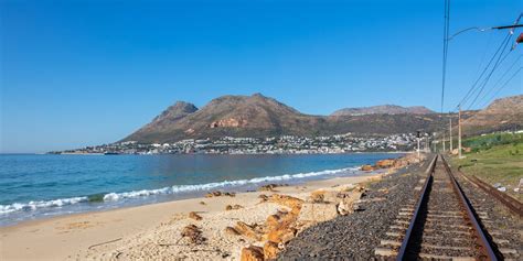 Kalk Bay Beach - Place for Paws