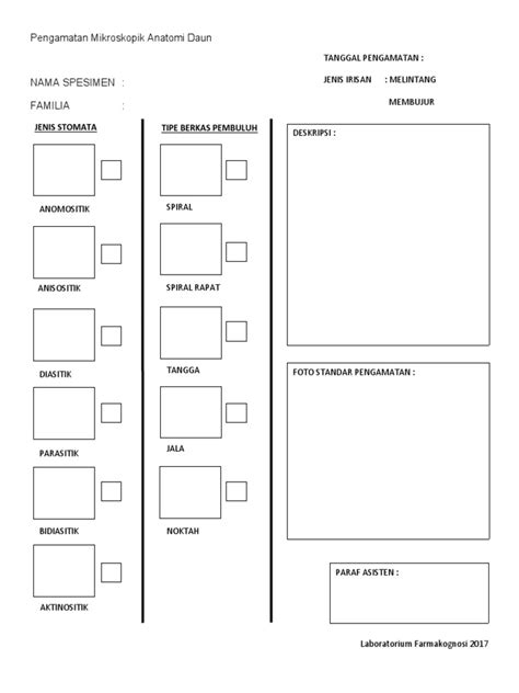 Format Laporan Pengamatan Mikroskopik Anatomi Daun Batang Pdf