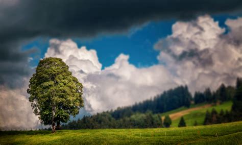 Wallpaper Sinar Matahari Pemandangan Alam Refleksi Langit Bidang