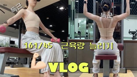 💪🏻 헬스브이로그🏋🏻‍♀️ 헬린이 상체위주편 Youtube