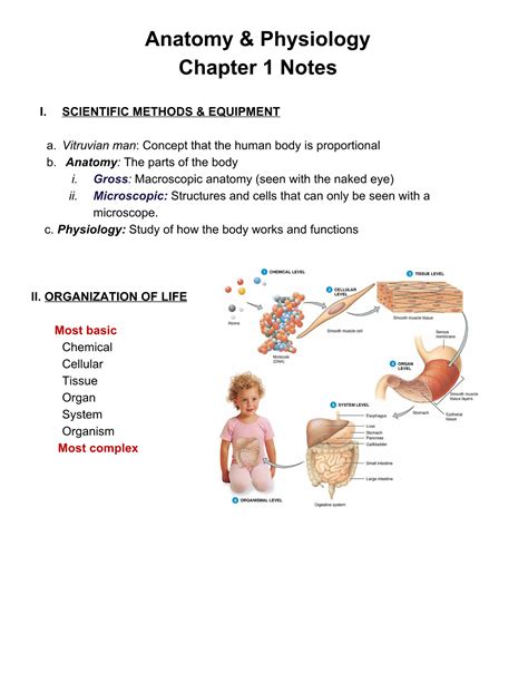 Human Anatomy And Physiology Chapter 1 Anatomy Reading Source