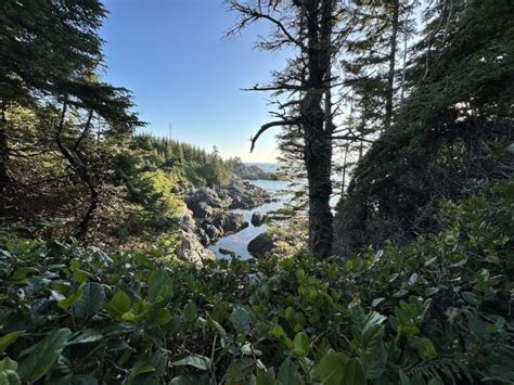 The 12 Best Things To Do In Ucluelet Bc 2025 Guide