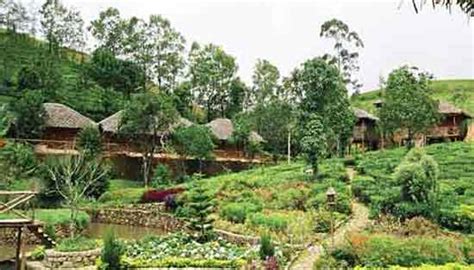 Vagamon Hide Out, Vagamon Hide Out Eco Friendly Resort, Idukki, Kerala.