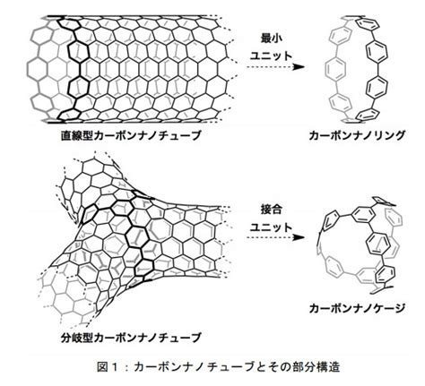 カーボンナノケージ 全く新しい炭素ナノ分子の登場 リバネス