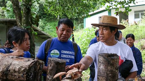 Indigenous Peoples In The Philippines Leading Conservation Efforts Gef