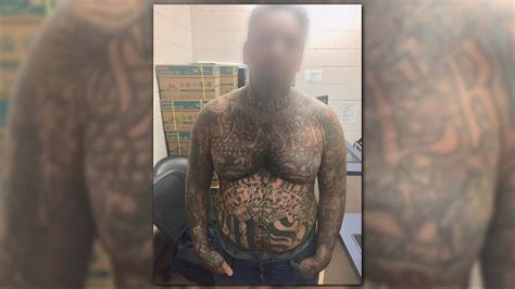 MS 13 Gang Member Arrested In Laredo Area Border Patrol Says Wltx