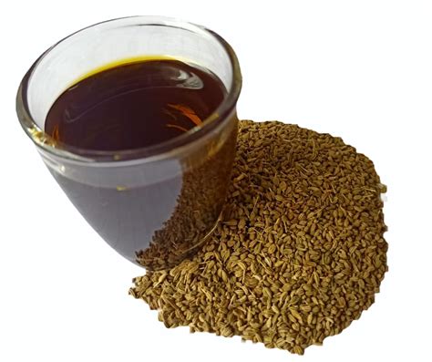 Ajowan Seed Oil At Kg Ajwain Oil In Surat Id