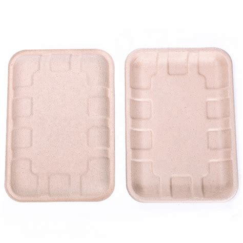 Eco Friendly Biodegradable Molded Fiber Pulp Bagasse Fruit Tray