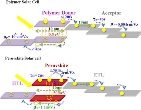 Schematic Representation Of Exciton Formation And Dissociation In V And Download Scientific