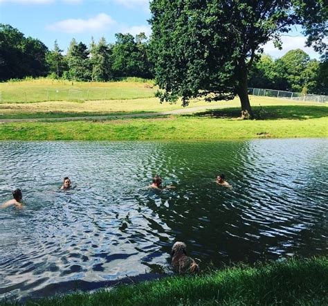 Beckenham Place Park Is Getting A Wild Swimming Lake This Month