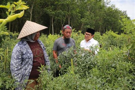 Gus Muhaimin Sebut Negara Harus Hadir Bantu Petani Atasi Kelangkaan Pupuk