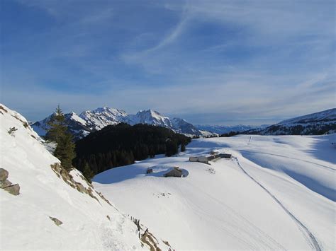 Blick zur Vorder Höhi wo man Terrasse für den hikr org