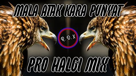 Mala Atak Kara Punyat Dj Halgi Mix Active Pad Remix Dj RDX 25