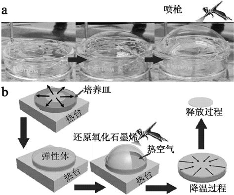 一种基于多级结构石墨烯的可拉伸透明导电弹性体的制备方法与流程