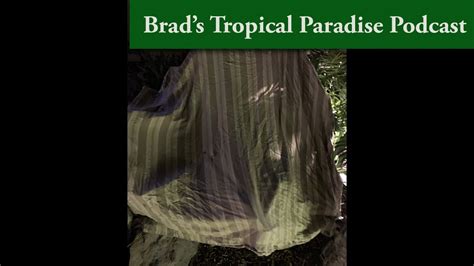 Brad S Tropical Paradise Podcast How And Why To Protect Your