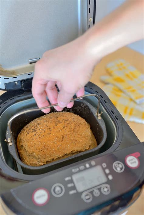 Bread Machine And Fresh Bread At Home Stock Image Image Of Crusty