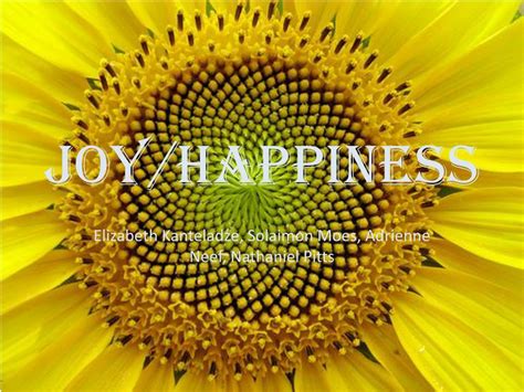 PPT - Joy/Happiness PowerPoint Presentation, free download - ID:2435900