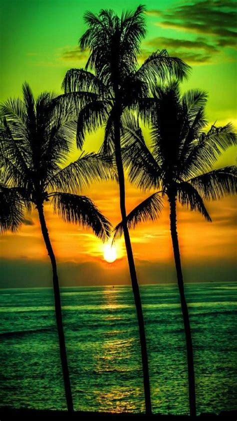 Green Sunset Wallpapers - Top Free Green Sunset Backgrounds - WallpaperAccess