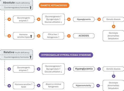 Diabetic Ketoacidosis And Hyperosmolar Hyperglycemic Syndrome Review